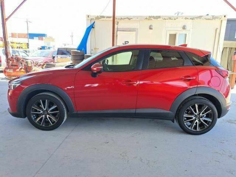 CX-3-8