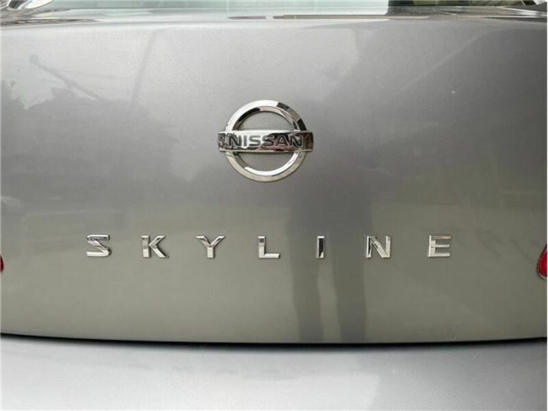 SKYLINE-6