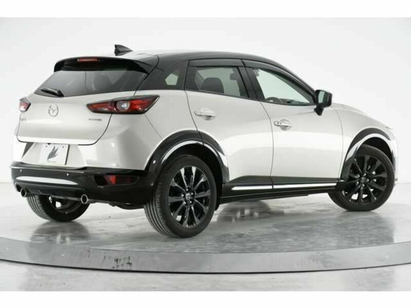 CX-3-1