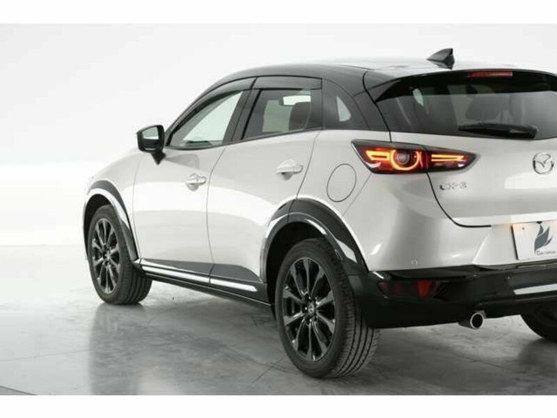 CX-3-6