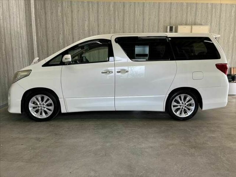 ALPHARD-11