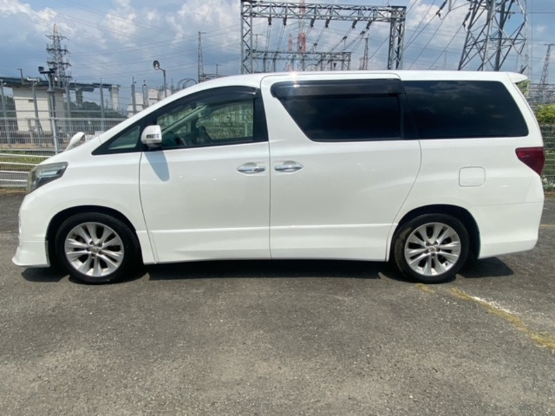 ALPHARD-6