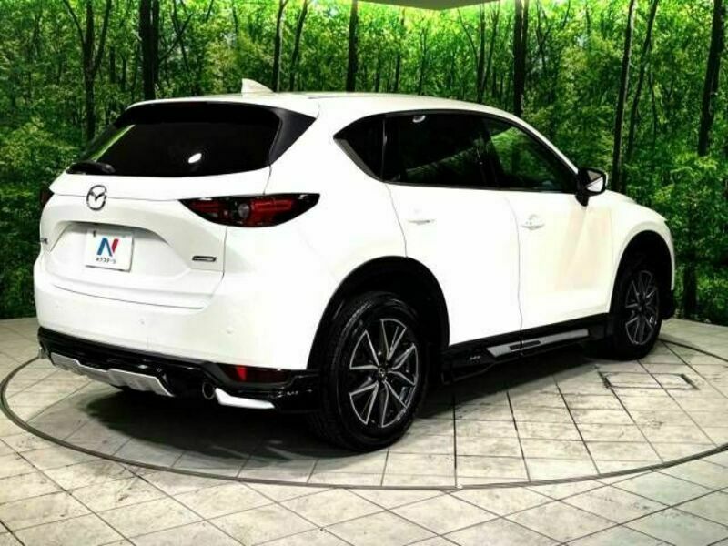 CX-5-17