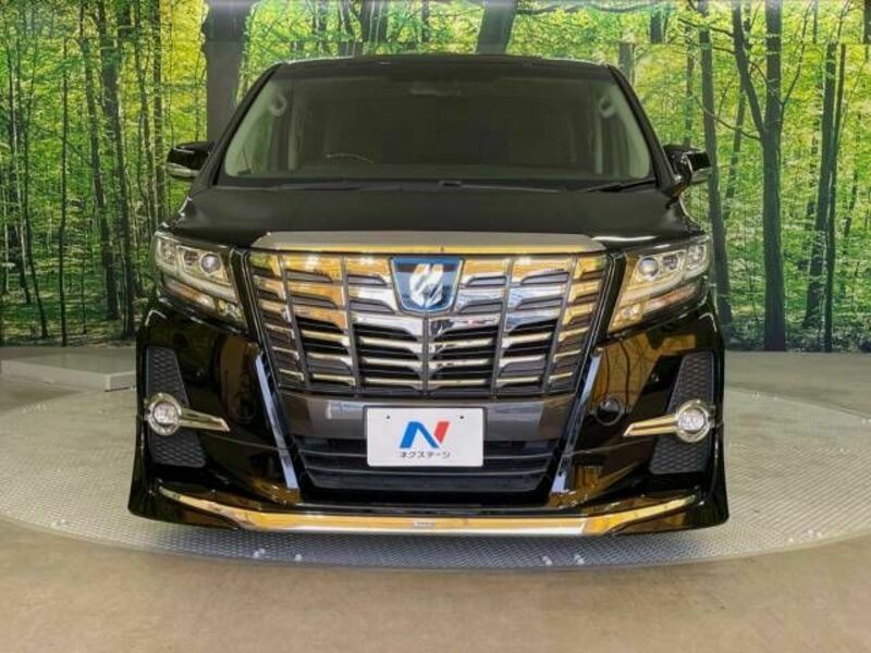 ALPHARD-15