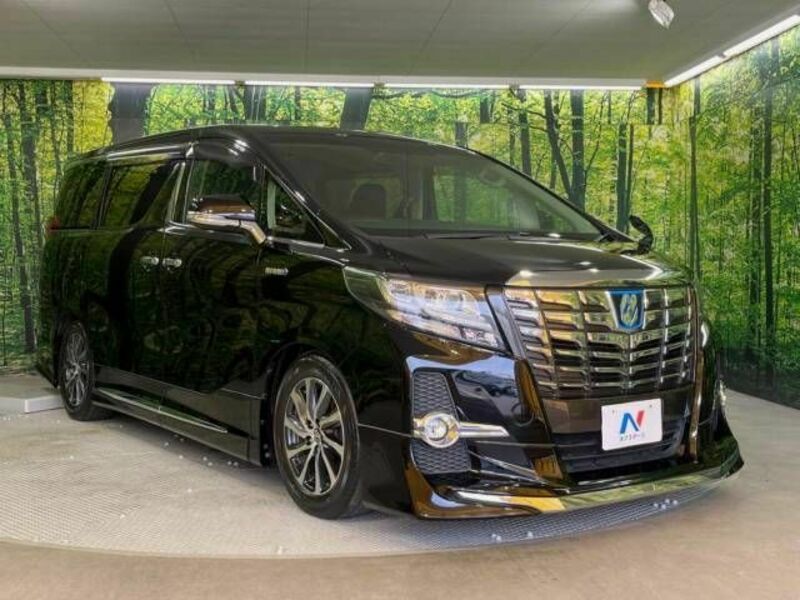 ALPHARD-17