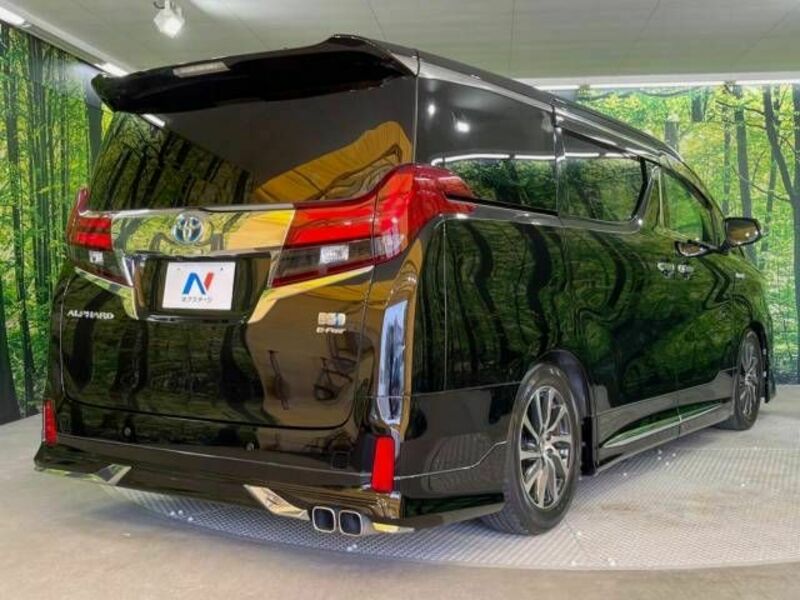 ALPHARD-18