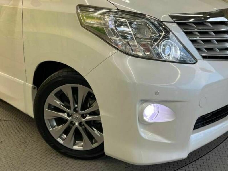 ALPHARD-13