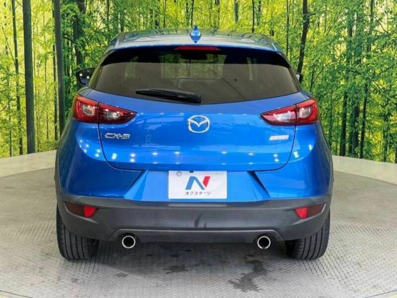 CX-3-15