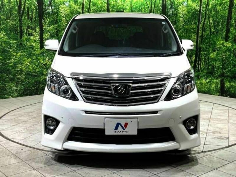 ALPHARD-14