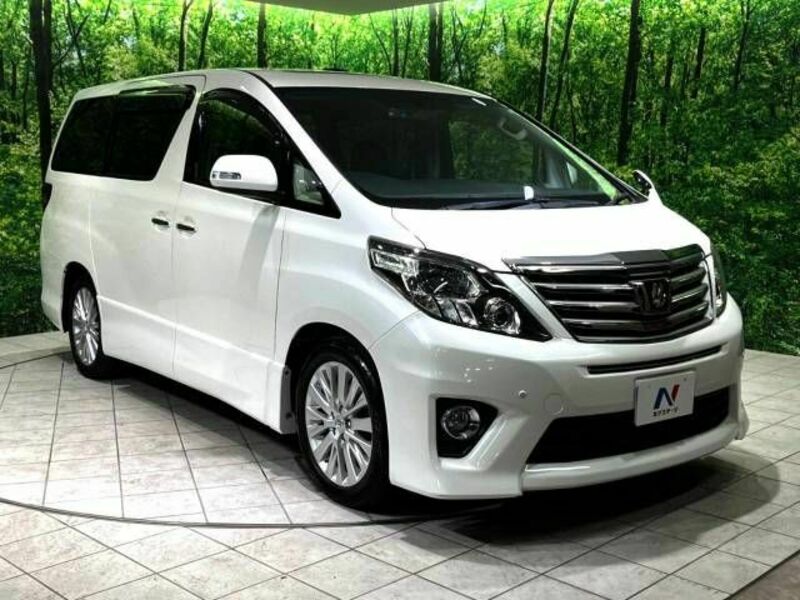 ALPHARD-16