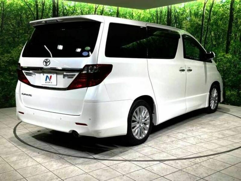 ALPHARD-17