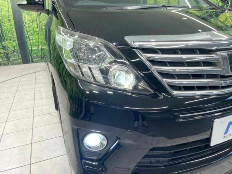 ALPHARD-13