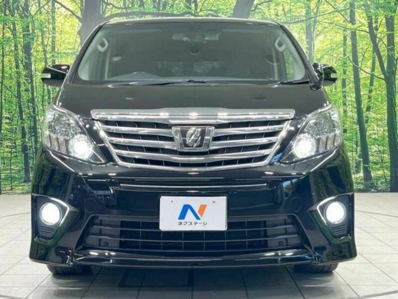 ALPHARD-15