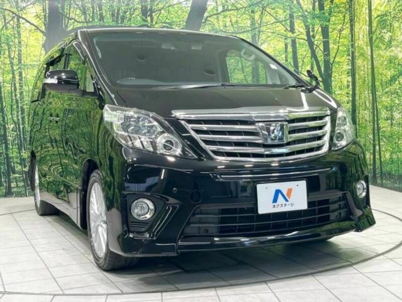 ALPHARD-17