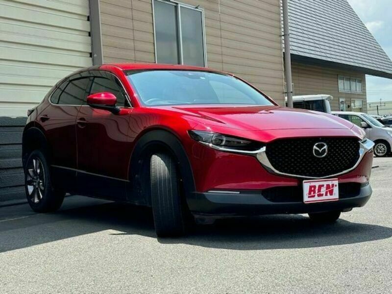 CX-30-6