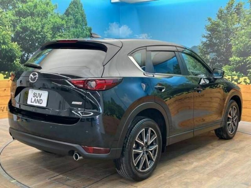 CX-5-17