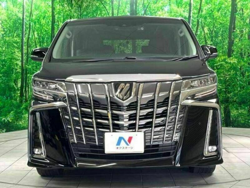 ALPHARD-15