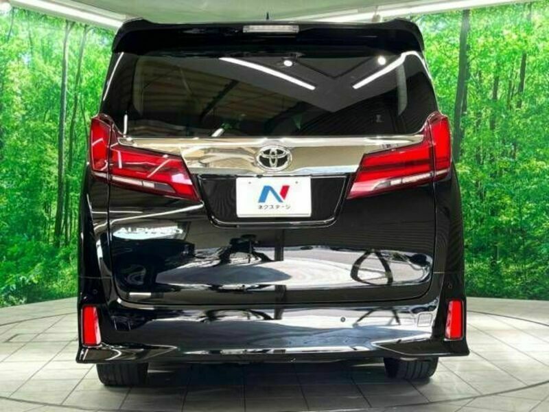 ALPHARD-16