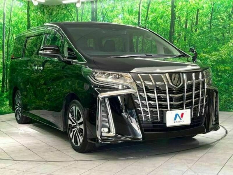 ALPHARD-17