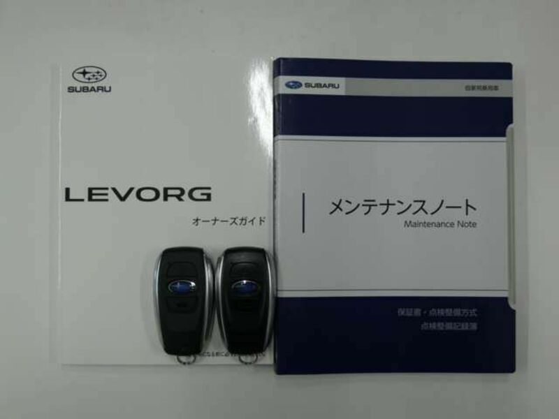 LEVORG-29