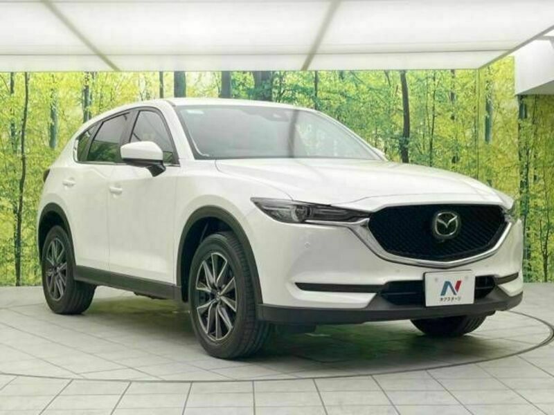 CX-5-16