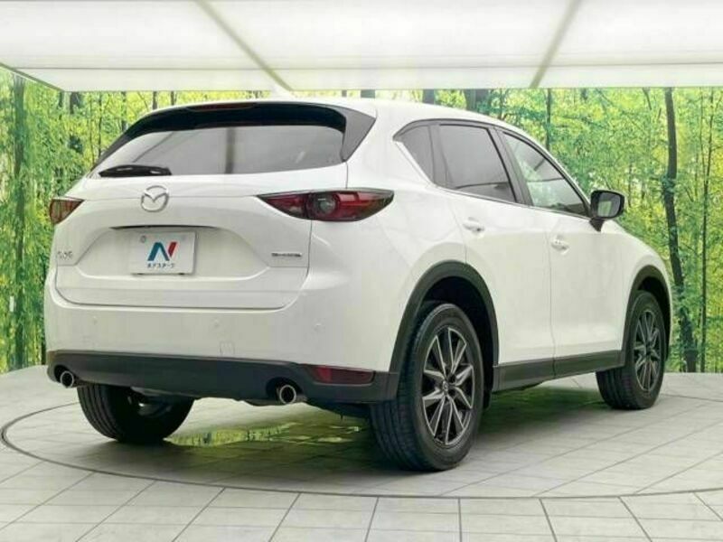 CX-5-17