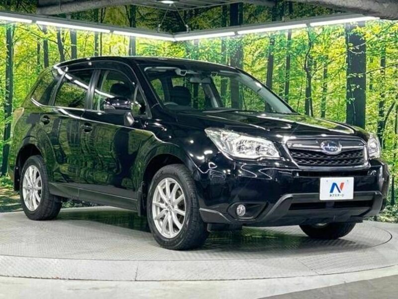 FORESTER-16