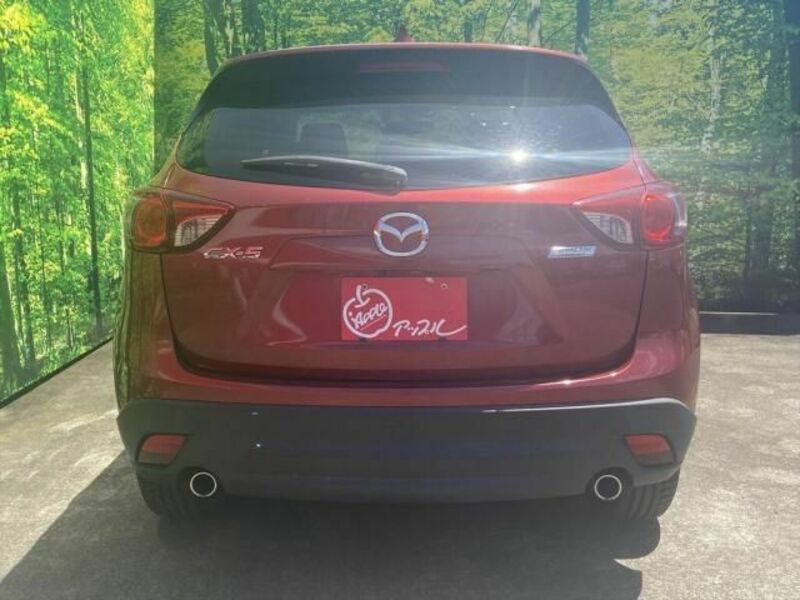 CX-5-2