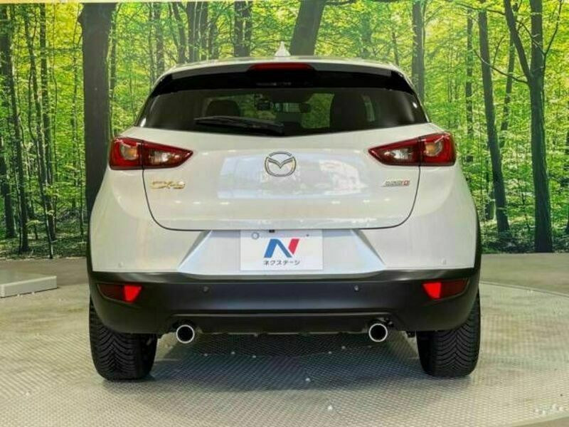 CX-3-15