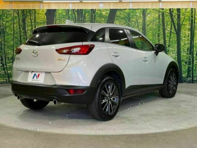 CX-3-17