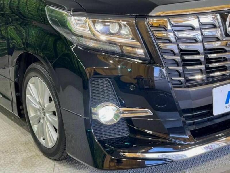 ALPHARD-12