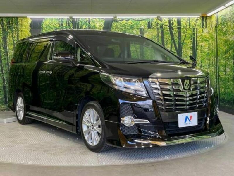 ALPHARD-17