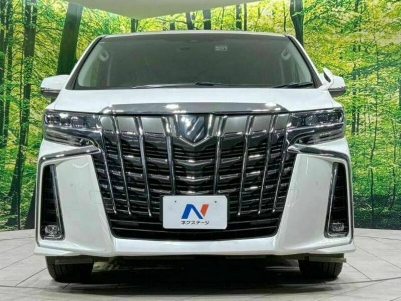 ALPHARD-15