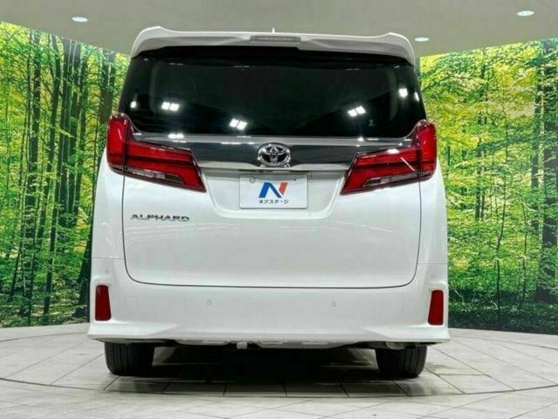 ALPHARD-16