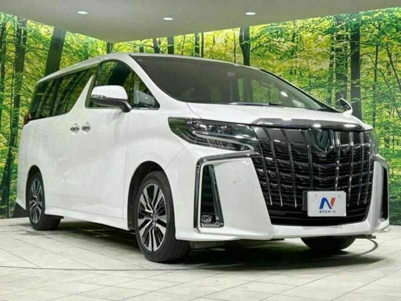 ALPHARD-17