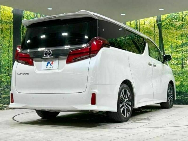 ALPHARD-18