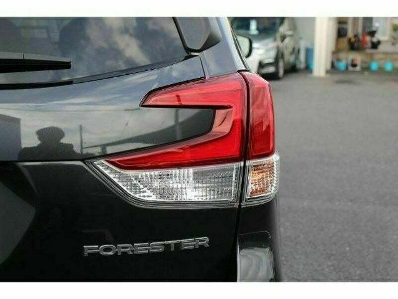 FORESTER-11