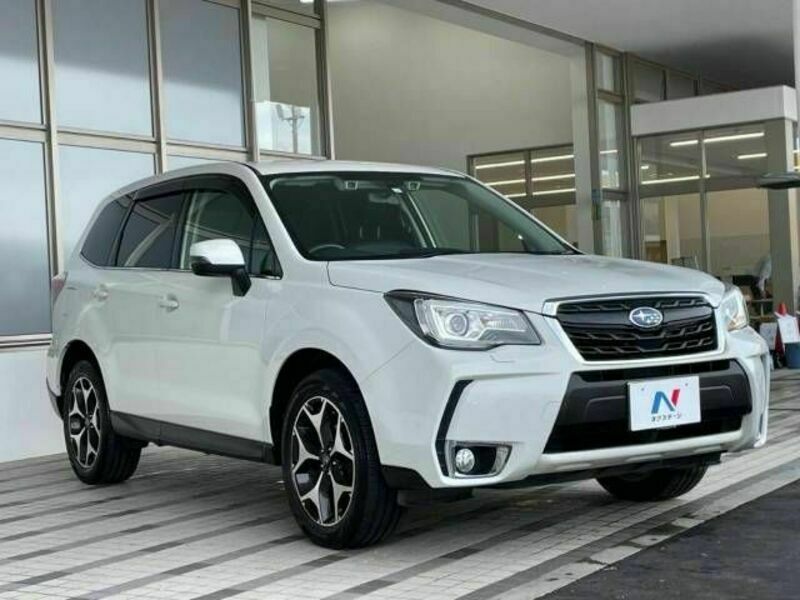 FORESTER-17