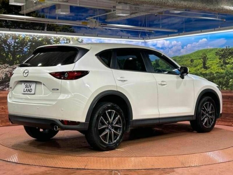 CX-5-17