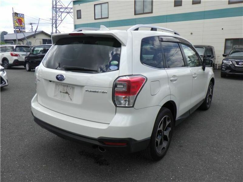 FORESTER-3