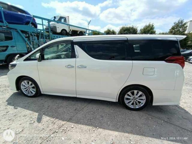 ALPHARD-8