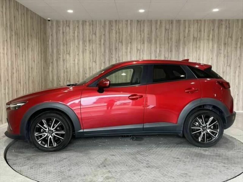 CX-3-19