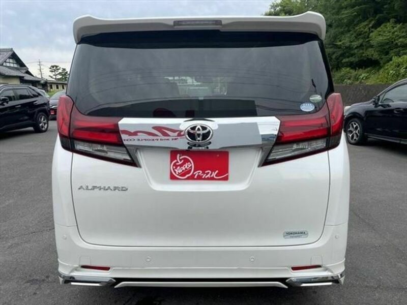 ALPHARD-19