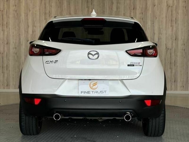 CX-3-15