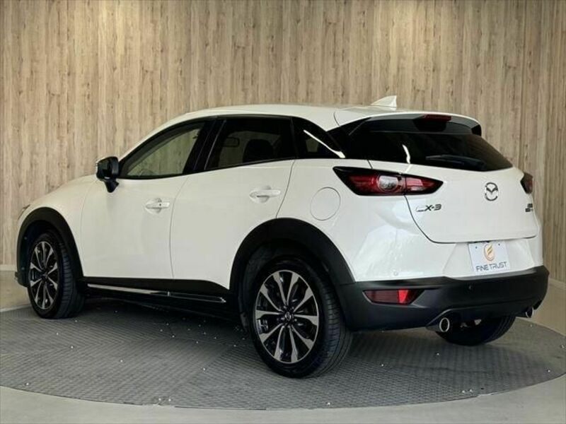 CX-3-17