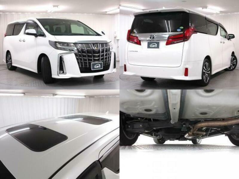 ALPHARD-1