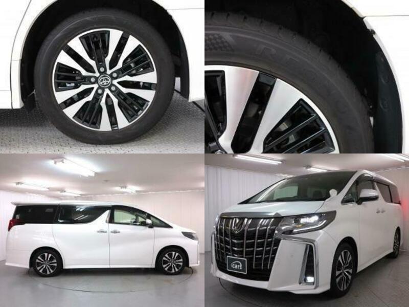 ALPHARD-3