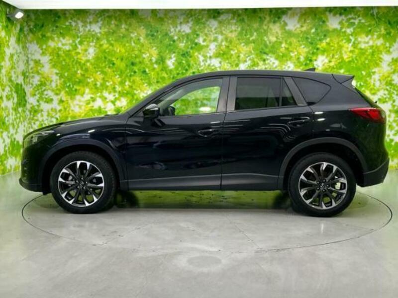 CX-5-1