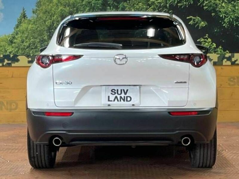 CX-30-15