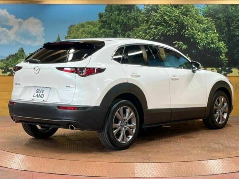 CX-30-17